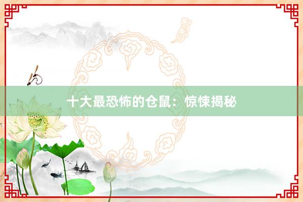 十大最恐怖的仓鼠：惊悚揭秘