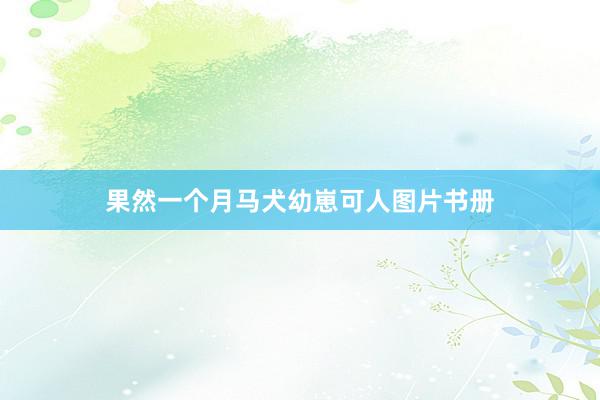 果然一个月马犬幼崽可人图片书册