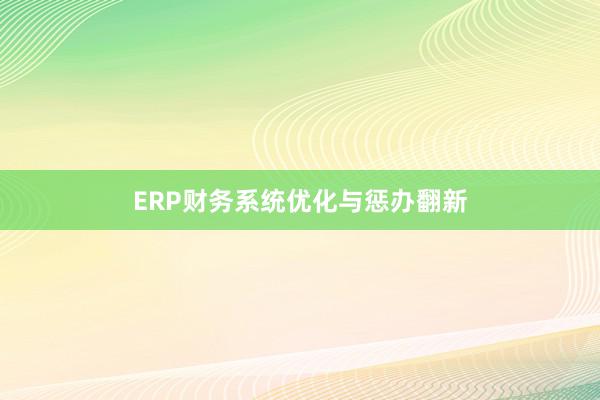 ERP财务系统优化与惩办翻新